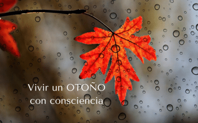 Vivir el Otoño con Consciencia…